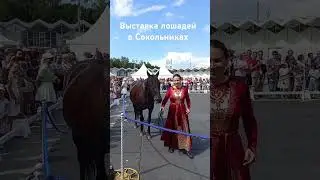 школа нумерологии @Kristina.egiazarova #цифроваяпсихология