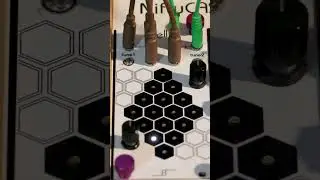 rings into microcosm textures  
