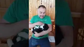 Ужас! Дочь застукала отца с....!