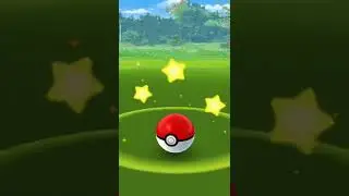 Shiny Starly! Starly community day| The gust legacy of Staraptor! 