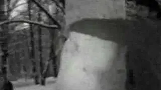 Snow man