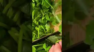 Сироп из мяты как в кофейне 