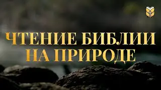 Чтение Библии на природе. Современный перевод Библии #biblevision