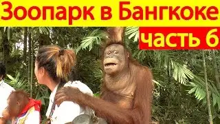Мир Сафари, все включено, зоопарк в Бангкоке, Таиланд
