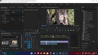 Adobe Premiere Pro – How to use Wipe Line transitions