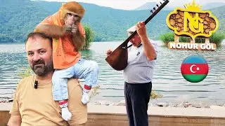 Nohur Gölü / Gebele - Azerbaycan / Durmuş'un Rotası