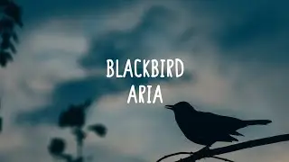 Beatles (Cover by Aria Nanji) - Blackbird (Lyrics)