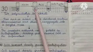 Plasmid Isolation/Plasmid Purification