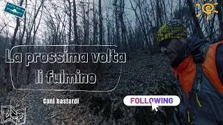 182° video - La prossima volta li fulmino (cani bastardi)