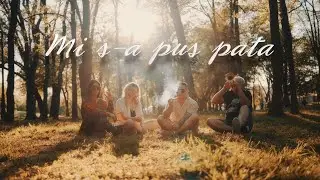 Robert Iovan feat. Reea - Mi s-a pus pata (starring nea Florica)