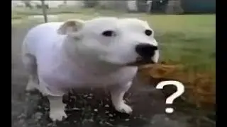 Fartnite