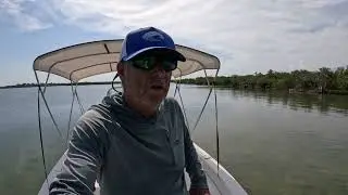 Indian River Lagoon Seagrass and Manatees