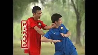 6 duan yongchun quan