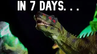 7 DAYS
