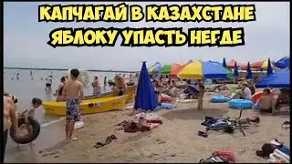 Отдых в Казахстане - Капчагайское водохранилище 2023  Капчагай . Яблоку упасть негде  Элла Австралия