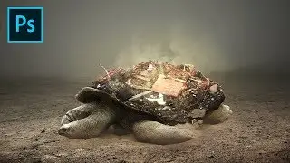 Photoshop CC Tutorial - Tortoise Wasted - Surreal Photo Manipulation