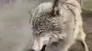 😭😭😭😭