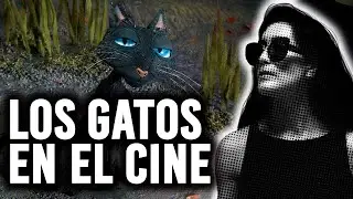 LOS GATOS EN EL CINE
