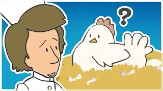 Chopin VS chicken