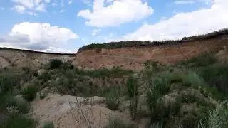 Гнезда ласточек в песчаном карьере
