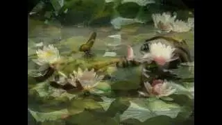 A Water Lily by Jia Peng Fang