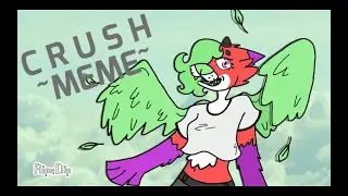 C R U S H   ∆~•MEME•~∆  Birthday Gift for meh! ^•^  (read description)