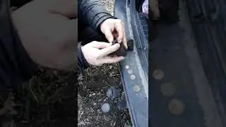 первое серебро на Quest X5
