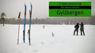 Exploring Gyllbergen Nature Reserve