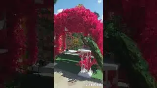Анапа, любой каприз за ваши деньги😅