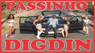 Passinho DigDin - Os Cretinos ( Cia de dança DNA)