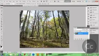 Tutorial Eight | How To Merge An Object With A Background Realistically.