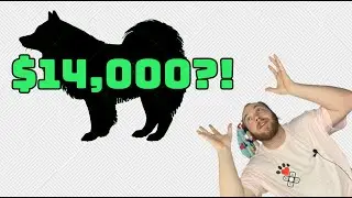 Why Is This Dog Breed $14,000? - Paws 2 Care 4
