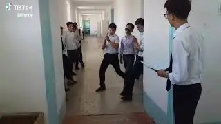 Termez bollari