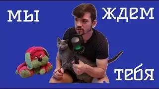 ПРИГЛАШЕНИЕ В PET-ПРОЕКТ!