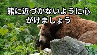 Encountering a bear requires what?  Prof. Dr. Hidenobu Toriyoshi, Ph.D, DVM, D.M.Sc.