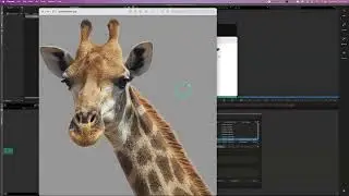 Avid Media Composer- Lesson 9 - Import Settings & Source Settings