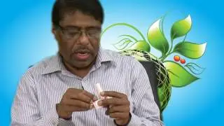 How to use DPI (Dry Powder Inhaler) by Dr. Monsur Habib