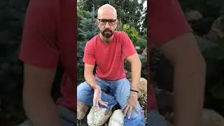 Диместификация Йоги: Эффект Низкой Базы