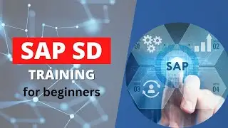 SAP SD TRAINING  in Hyderabad | SAP SD Project Training for beginners | Raviatimp