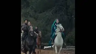 #osbal