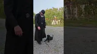 Алабай в мужском монастыре