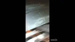 Лиса на переходе Причесал.