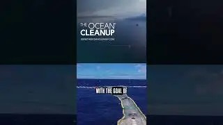 The Largest Ocean Clean Up in the World!