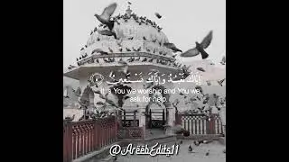 May Allah Guide us to the right Path 🤲