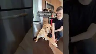 How a DOG changed their lives (emotional) #shorts