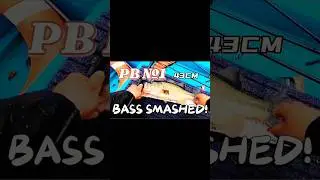 Giant Bass Hooked! 43cm Fishing Adventure