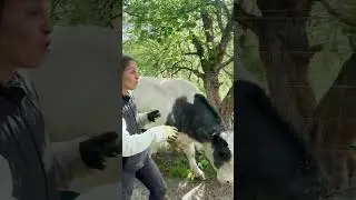 Traslado de Felipe a la plataforma