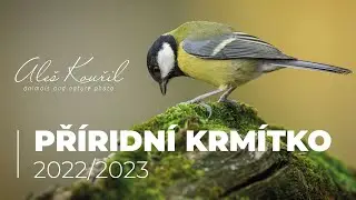 Přírodní krmítko 2022
