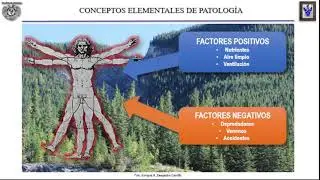 CONCEPTOS ELEMENTALES DE PATOLOGÍA I