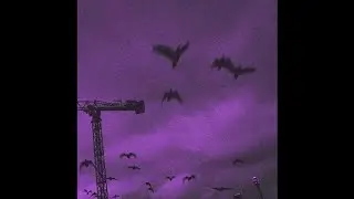 [FREE FOR PROFIT] Sad Melodic Trap Type Beat 
